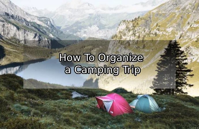 How To Organize a Camping Trip