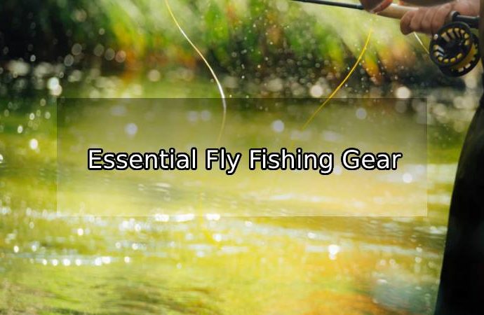Essential Fly Fishing Gear