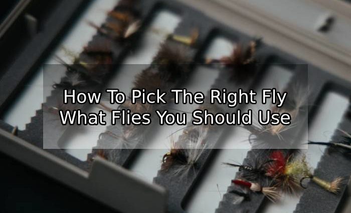 How To Pick The Right Fly - What Flies You Should Use