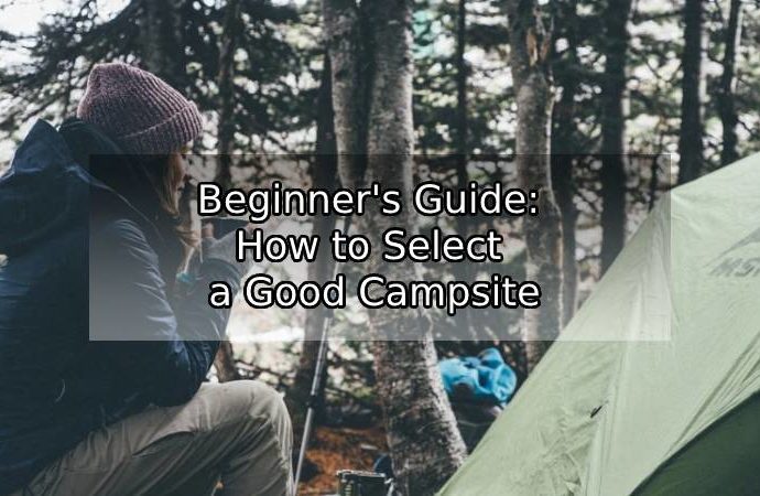 How to Choose a Campsite
