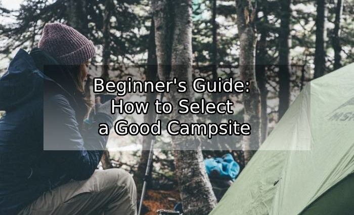 How to Choose a Campsite