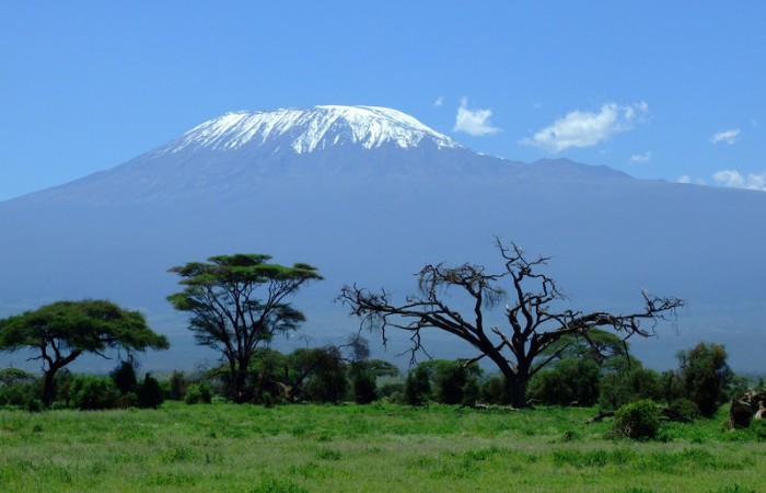 Africa's Kilimanjaro
